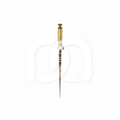 PROTAPER GOLD™ (6)