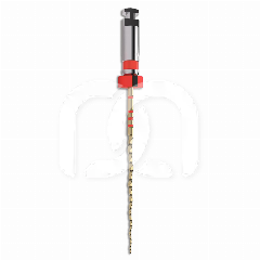 TRUNATOMY SHAPING FILE - PRIME (3) TRUNATOMY SHAPING FILE - PRIME (3)