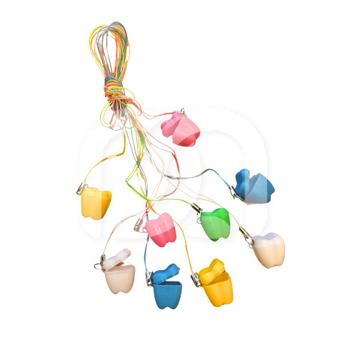 MOLAR + CORD (50)