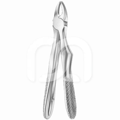 EXTRACTIETANG VOOR VOLWASSENEN - EXTRACTIETANG MET GERUITE KLEMMEN  EXTRACTIETANG VOOR VOLWASSENEN - EXTRACTIETANG MET GERUITE KLEMMEN