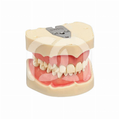 MODEL ANKA-4 MODEL ANKA-4