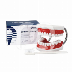 POETSMODEL MET TANDENBORSTEL - TANDENBORSTEL POETSMODEL MET TANDENBORSTEL - TANDENBORSTEL