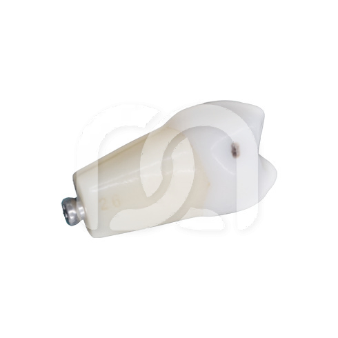 DENTS POUR MODEL FRASACO ANKA-4