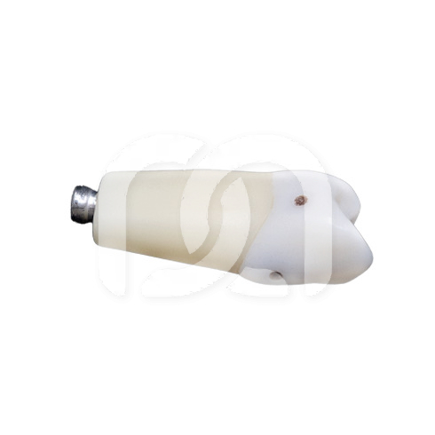 DENTS POUR MODEL FRASACO ANKA-4