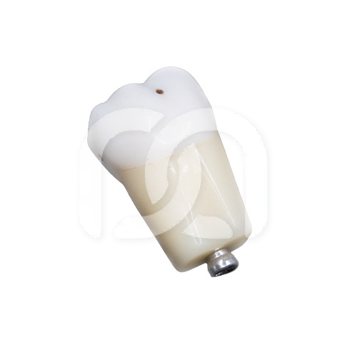 TAND VOOR MODEL FRASACO ANKA-4