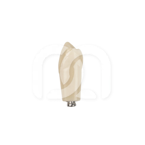 TAND VOOR MODEL FRASACO ANKA-4