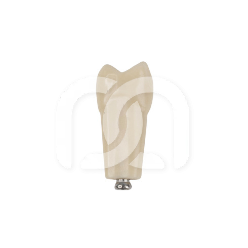 TAND VOOR MODEL FRASACO ANKA-4