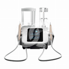 AIRPOLISHER EMS WOODPECKER