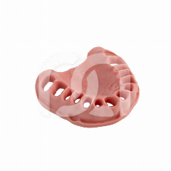 GENCIVE DE REMPLACEMENT POUR LA MÂCHOIRE TYPODONT ANA-4 OK ET ANKA-4 OK