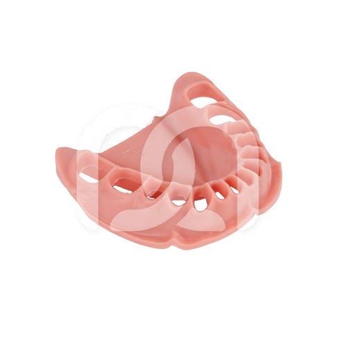 GENCIVE DE REMPLACEMENT POUR LA MÂCHOIRE TYPODONT ANA-4 OK ET ANKA-4 OK