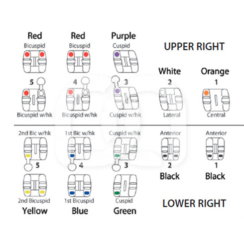 AGILITY TWIN MBT CENTRALES