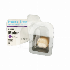 PROTEMP CROWN (5)