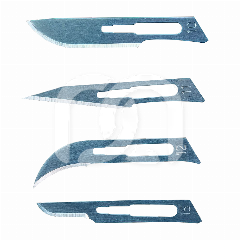 LAMES DE BISTOURIS STÉRILES R&S (100)