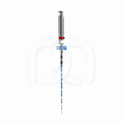 Endodontische Vijl RACE EVO 015/04.25 Mm (6)