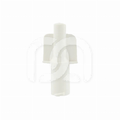 Bouchons de Seringues Lock et Luer-Lock (50)
