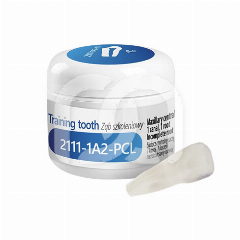 Oefentand voor Endodontie 2111-1A2-PCL (1)