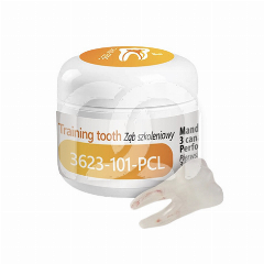 Endodontische Oefentand 3623-101-PCL (1)