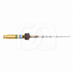 PROCODILE Q CA PRQ6L25.204 (6)