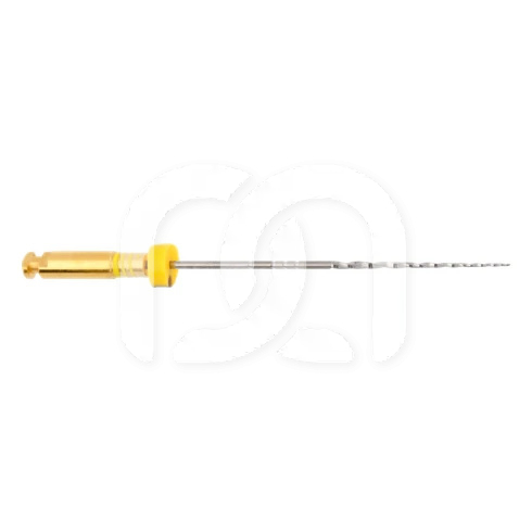 Endodontische Vijlen PathGlider 25mm 3% (6)