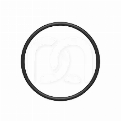 Joint de Buse pour Handy 2 Ø 10 x 1,50 mm (1)