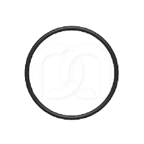 Joint de Buse pour Handy 2 Ø 10 x 1,50 mm (1)
