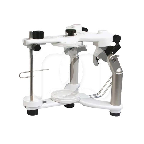 Articulateur Stratos 100 Valeurs Moyennes (1)