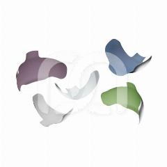 Kit de Bandes Matricielles Sectionnelles Strata-G (200)