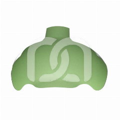 Groene Matrixbanden Strata-G voor Kiezen (50)
