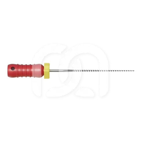 Handmatige K-Vijlen Voor Endodontie 21 mm (6)