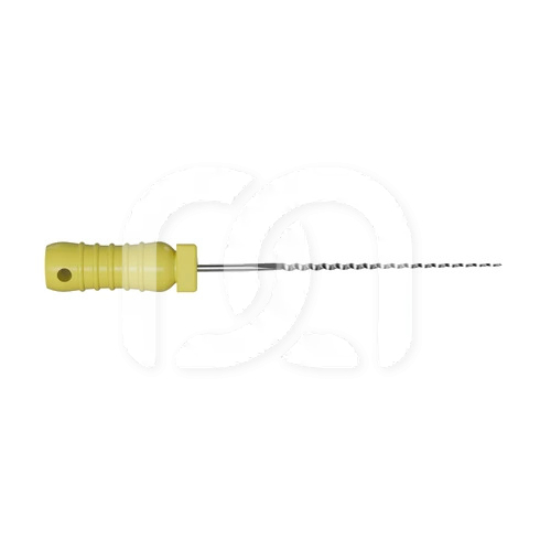 Broches Endodontiques Manuelles Long. 21 mm (6)