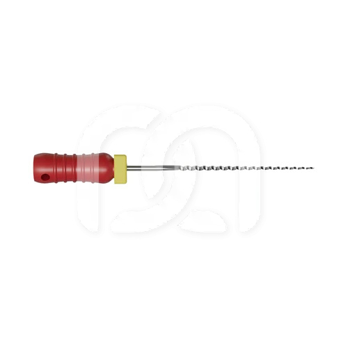 Broches Endodontiques Manuelles Long. 21 mm (6)