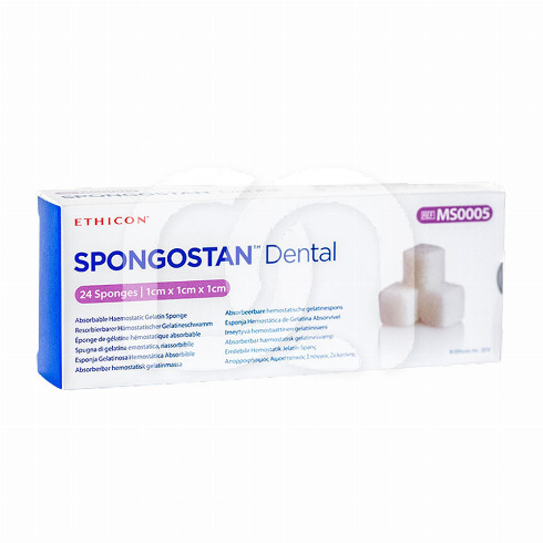 SPONGOSTAN (24)