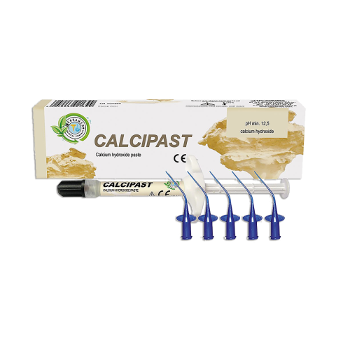 CALCIPAST (2,1G)