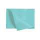 SERVIETTES PLASTIFIÉES DRY-BACK (100)